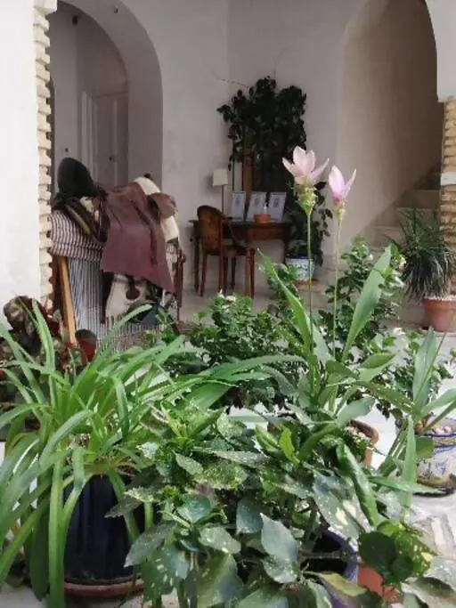 Apartamento Orégano Sanlúcar de Barrameda